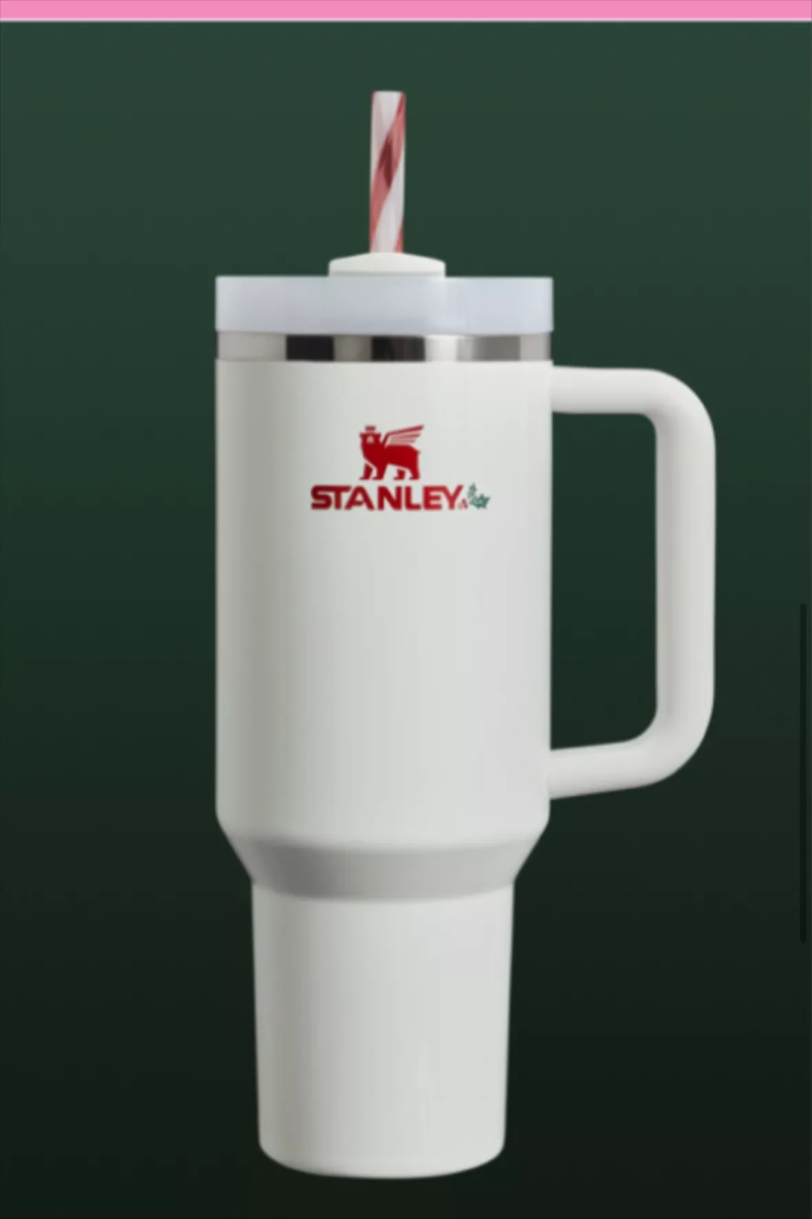 Stanley Quencher H2.0 FlowState 40 oz Tumbler - Mistletoe  Twist: Tumblers & Water Glasses