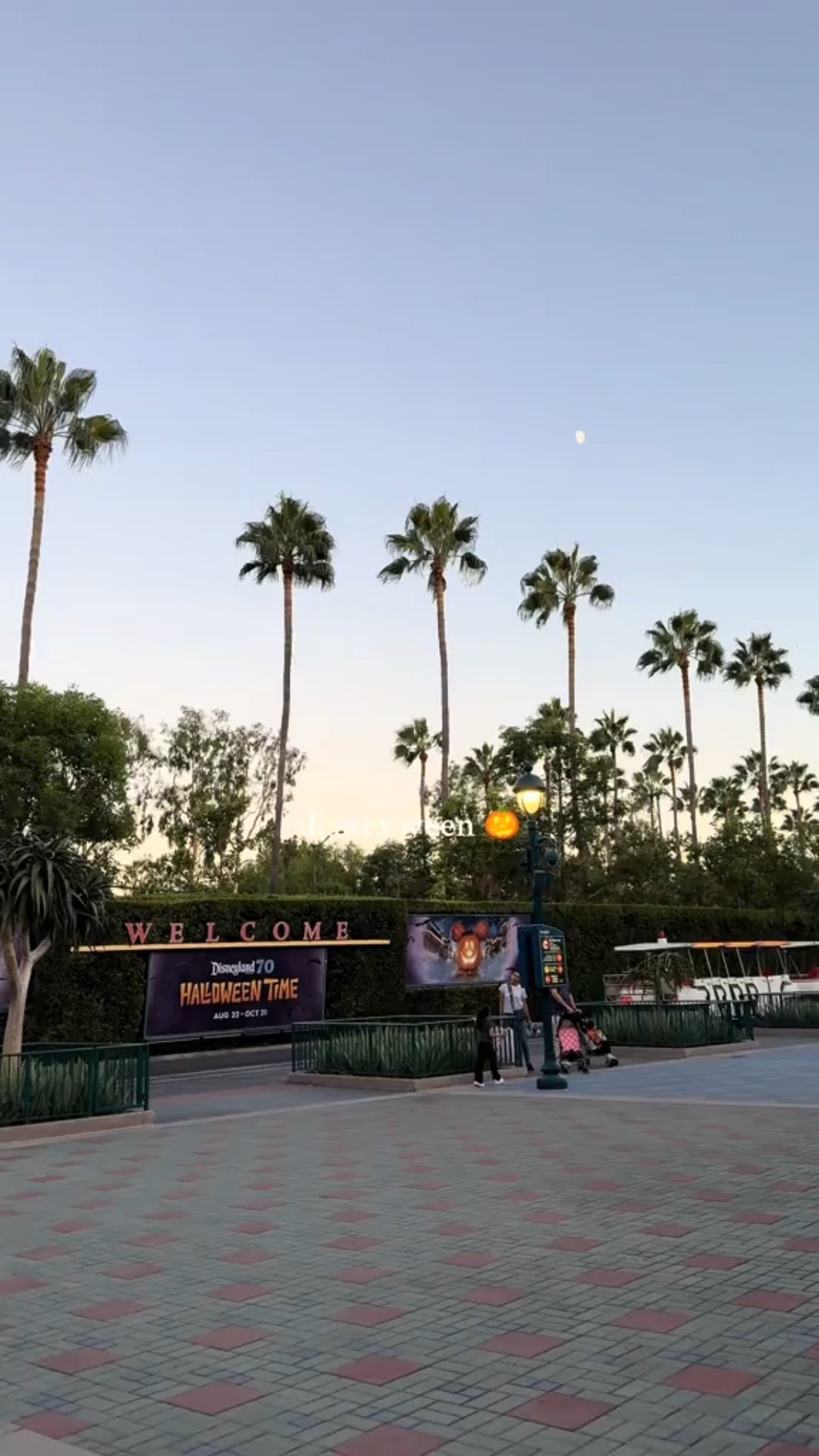 Disneyween Outfit

#LTKFindsUnder50 #LTKStyleTip #LTKHalloween