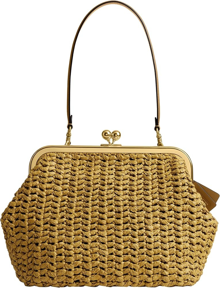 COACH Women's Suede Kisslock Frame Bag 27 | Amazon (US)