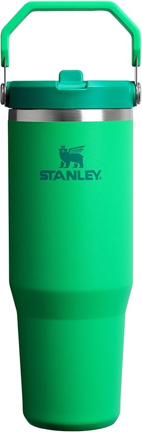 STANLEY IceFlow 2.0 Flip Straw Tumbler with Handle 30 oz | Twist On Lid and Flip Up Straw | Leak ... | Amazon (US)