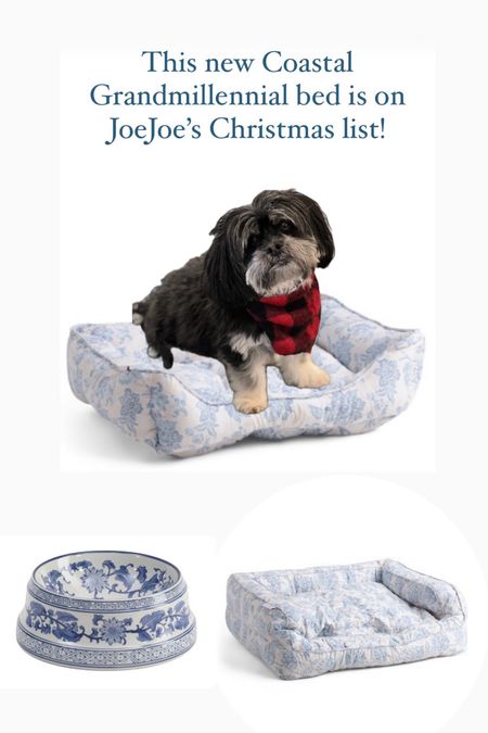 #ltkpet
Coastal Grandmillennial Dog bed
Chinoiserie dog bowl
Blue and white dog bed 