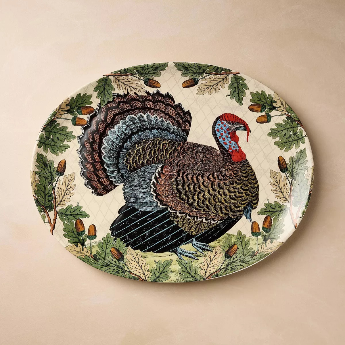 19"x14" Turkey with Acorn Stoneware Oval Serving Platter - John Derian for Target | Target