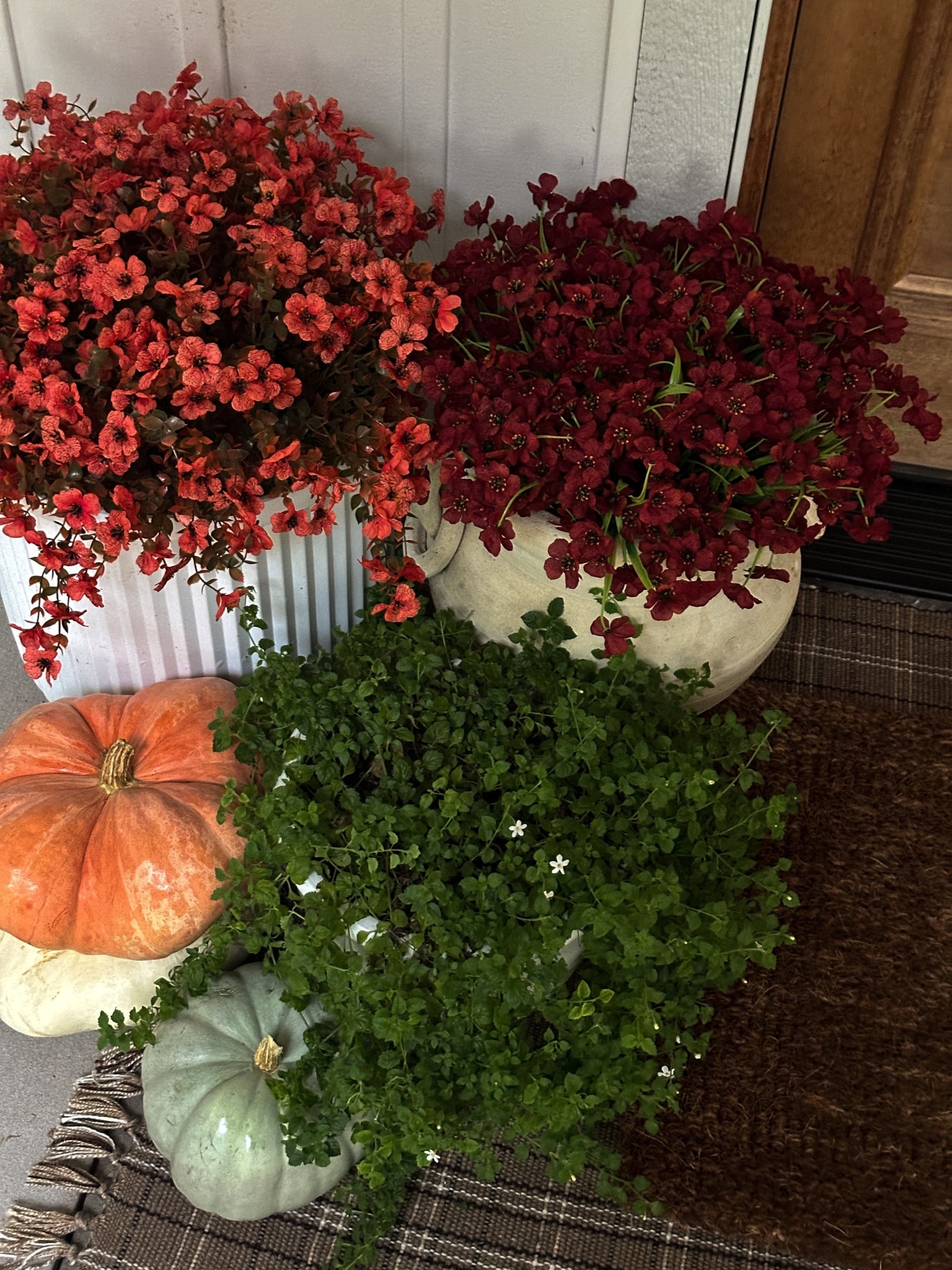 No more sad mums! Faux fall flowers you can use year after year 

#LTKFallSale #LTKSeasonal #LTKHome