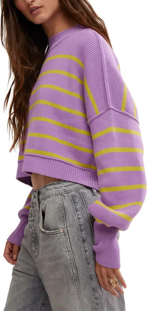 Easy Street Stripe Rib Crop Sweater | Nordstrom