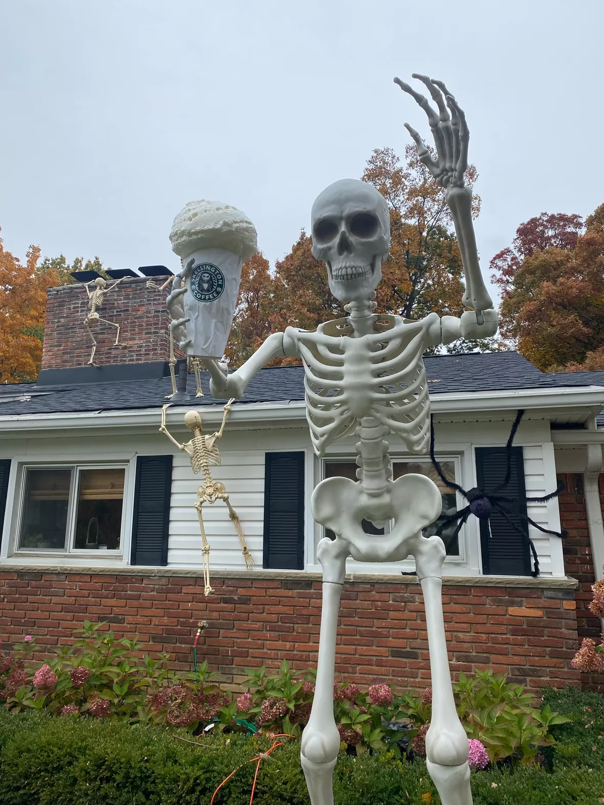 Giant skeleton halloween decoration - .de