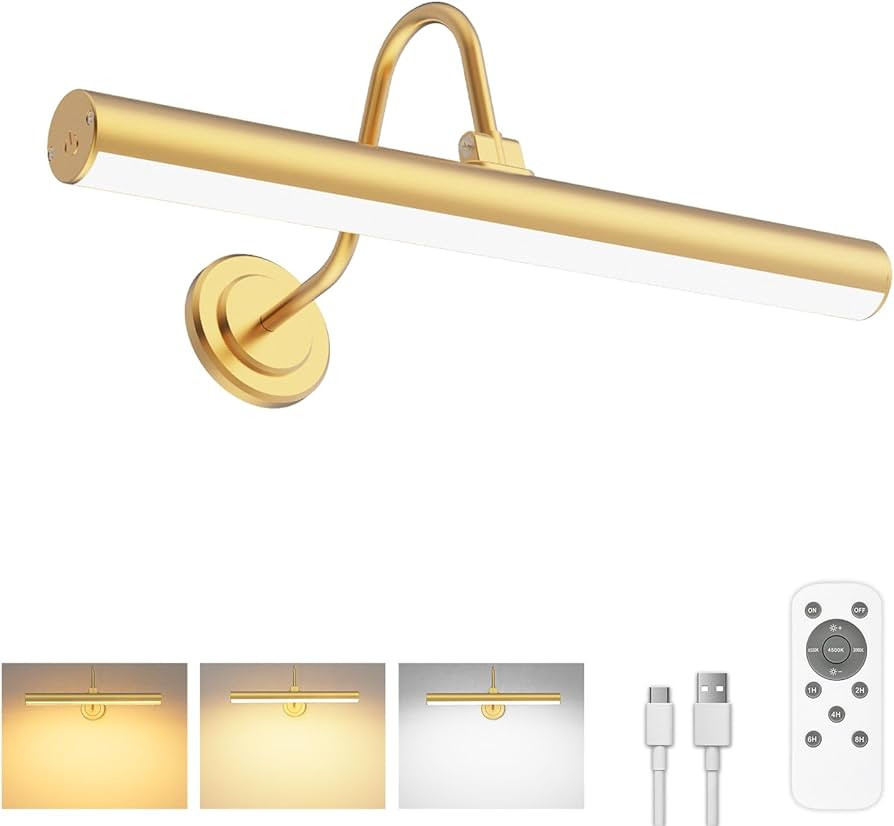 Bridika Picture Light Battery Operated, Picture Light for Wall with Remote, 3 Color Modes and Dim... | Amazon (US)