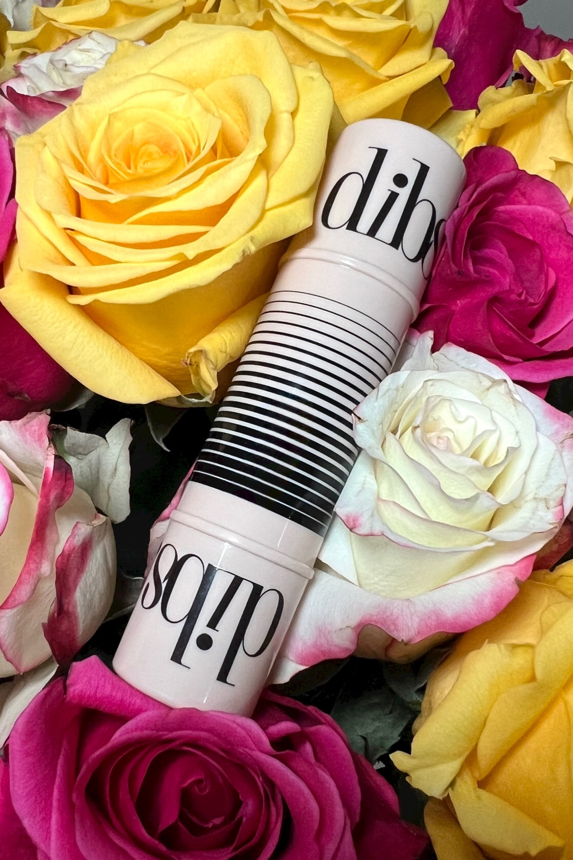 Get 20% off Dibs Beauty using the code LTK !!! 

#LTKBeauty #LTKGiftGuide #LTKSaleAlert