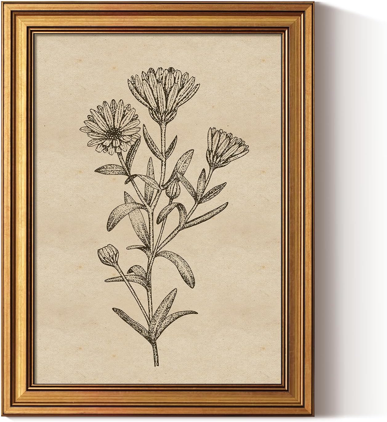 ARPEOTCY Gold Framed Canvas Art Prints,12x16inch, Botanical Wildflower Art Painting, Vintage Coun... | Amazon (US)