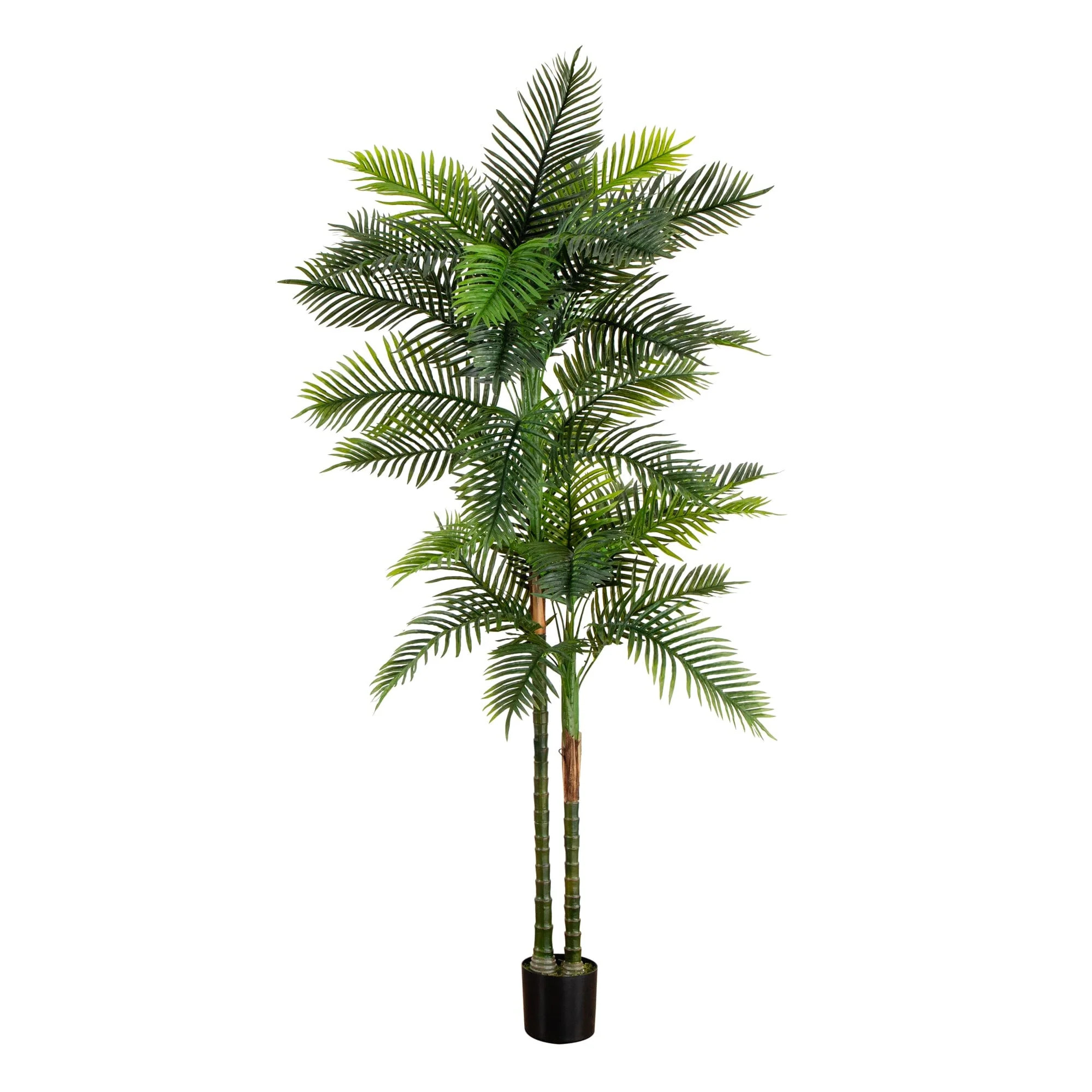 8’ UV Resistant Artificial Double Robellini Palm Tree (Indoor/Outdoor) | Nearly Natural | Nearly Natural