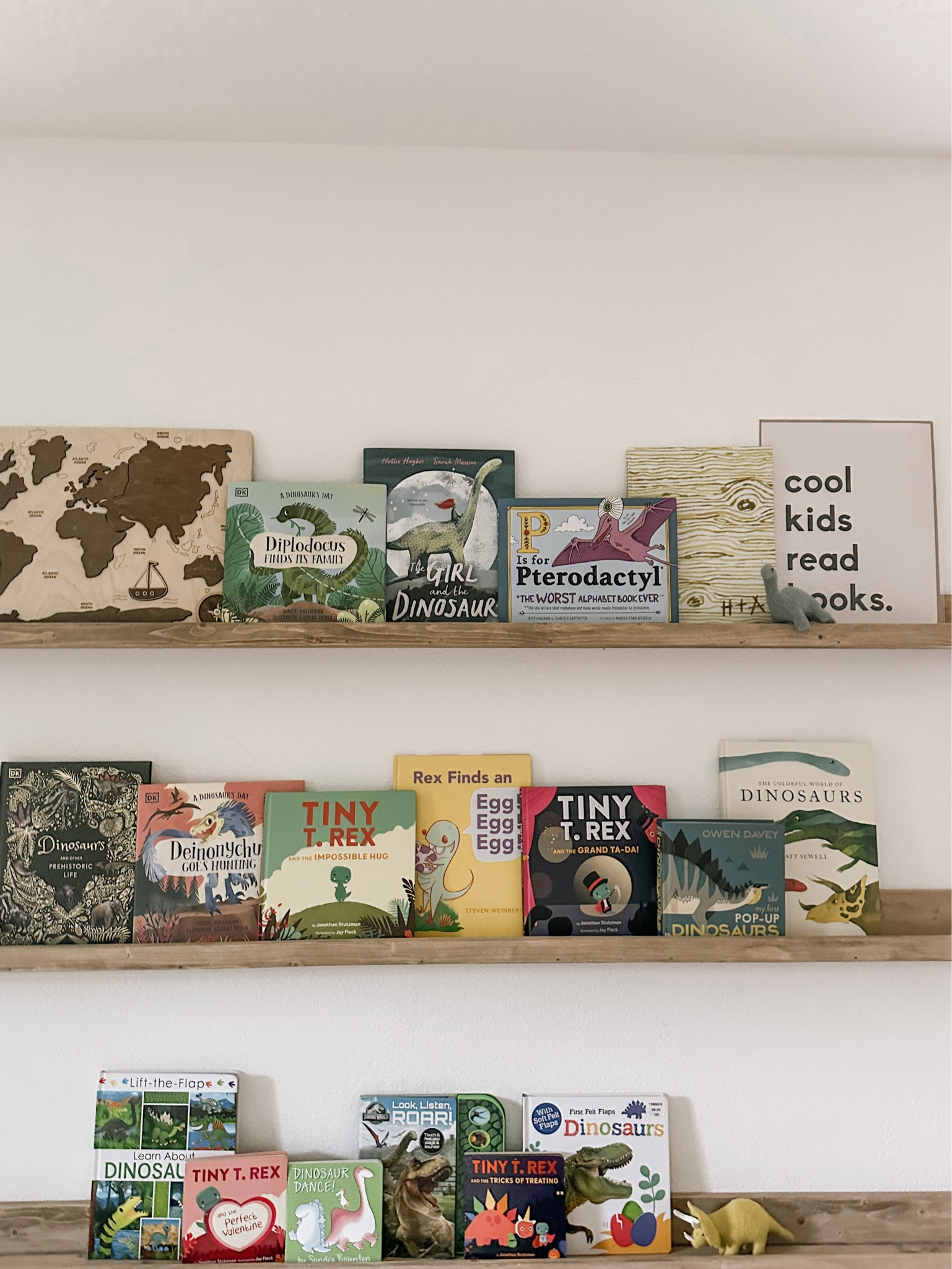 Dinosaur themed bookshelf for our playroom. We had a dinosaur birthday party and had to decorate the playroom as well. Perfect for any Dino loving girl or boy in your life! 🦖

#LTKhome #LTKkids #LTKfamily