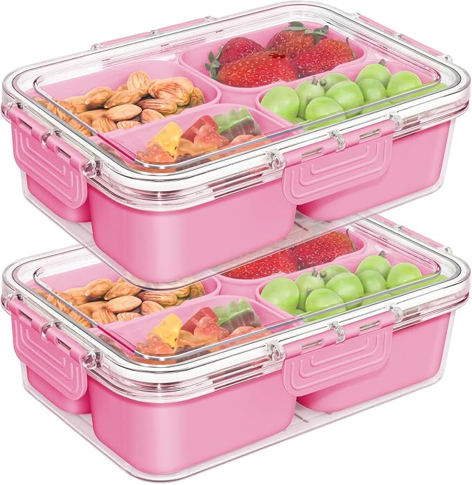 Small Snack Box Container, Divided Serving Tray with Lid, 4 Compartment Snack Box Container for C... | Amazon (US)
