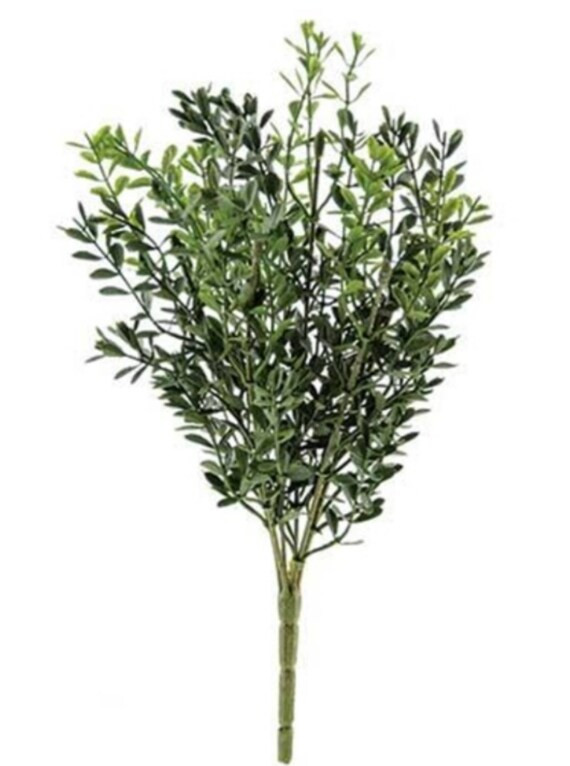 New England Boxwood Floral Pick Decor | Etsy (US)