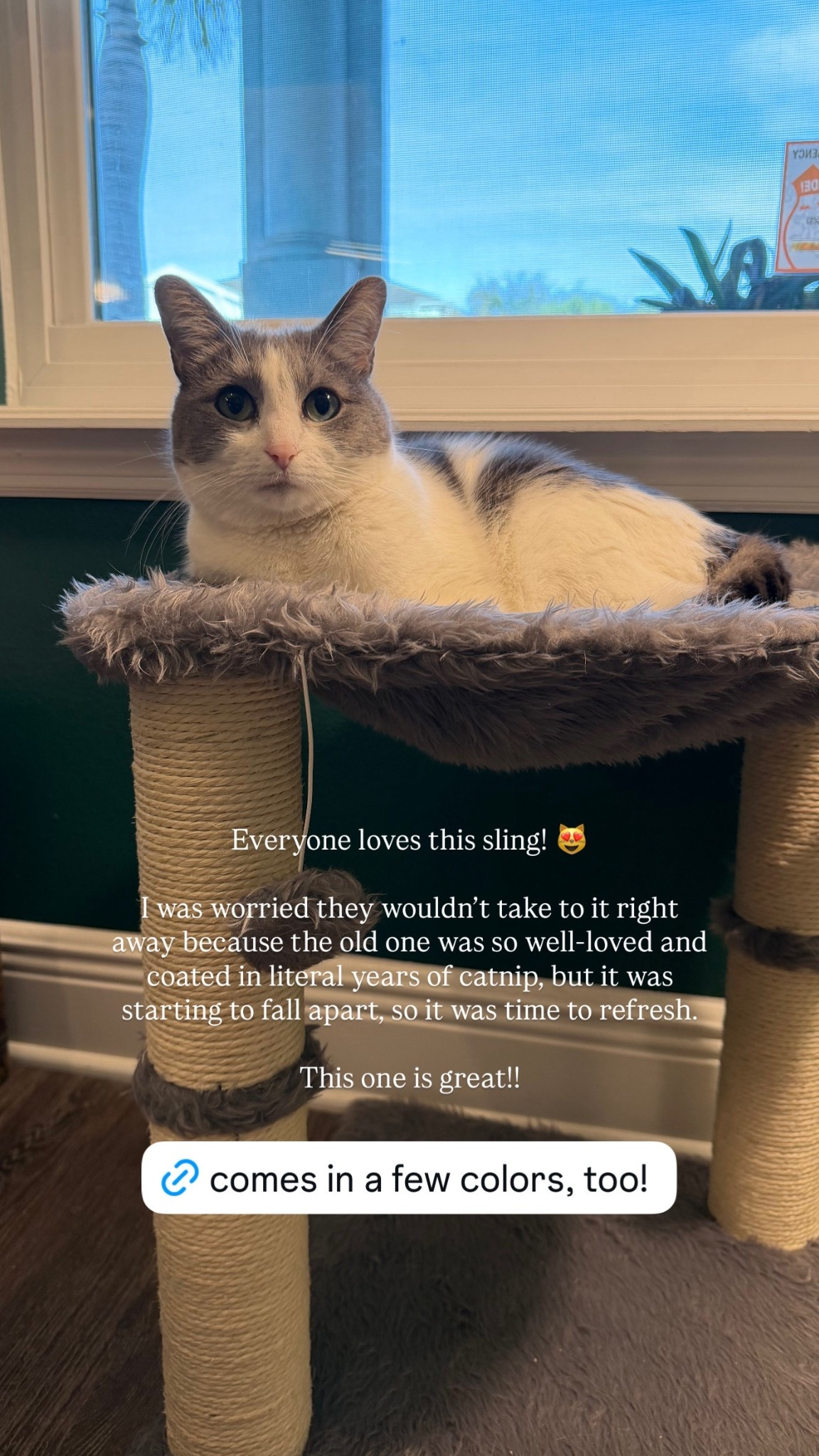 All of the kitties are loving this sling! 😻

I was worried they wouldn’t take to it right away because the old one was so well-loved and coated in literal years of catnip, but it was starting to fall apart, so it was time to refresh. 

This one is great!! 

#LTKHome #LTKdayinmylife #LTKPets