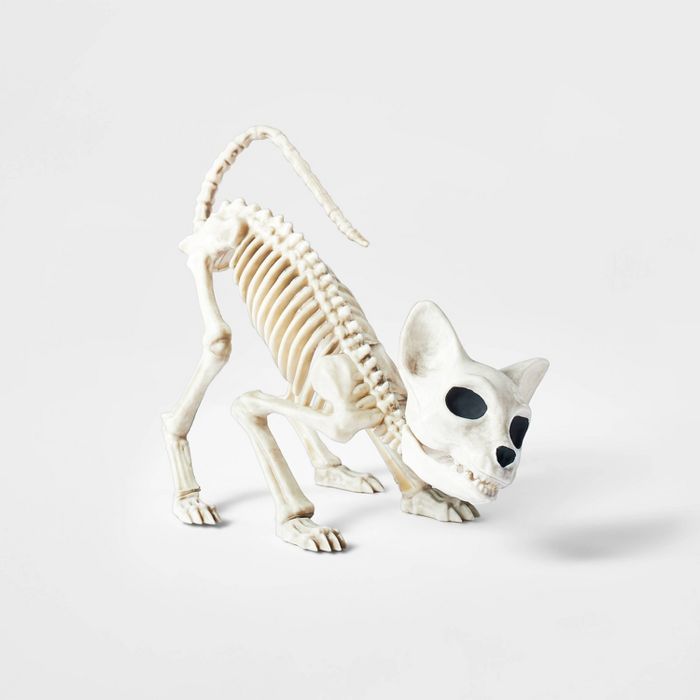 Small Crouching Skeleton Kitten Halloween Decorative Prop - Hyde &#38; EEK! Boutique&#8482; | Target