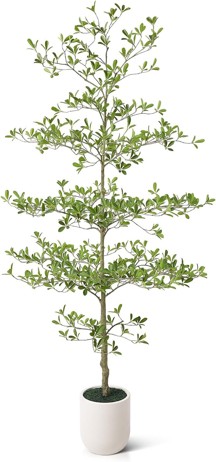 VeriNatural 7FT Artificial Black Olive Tree Indoor with White Planter – Tall Luxury Faux Olive ... | Amazon (US)