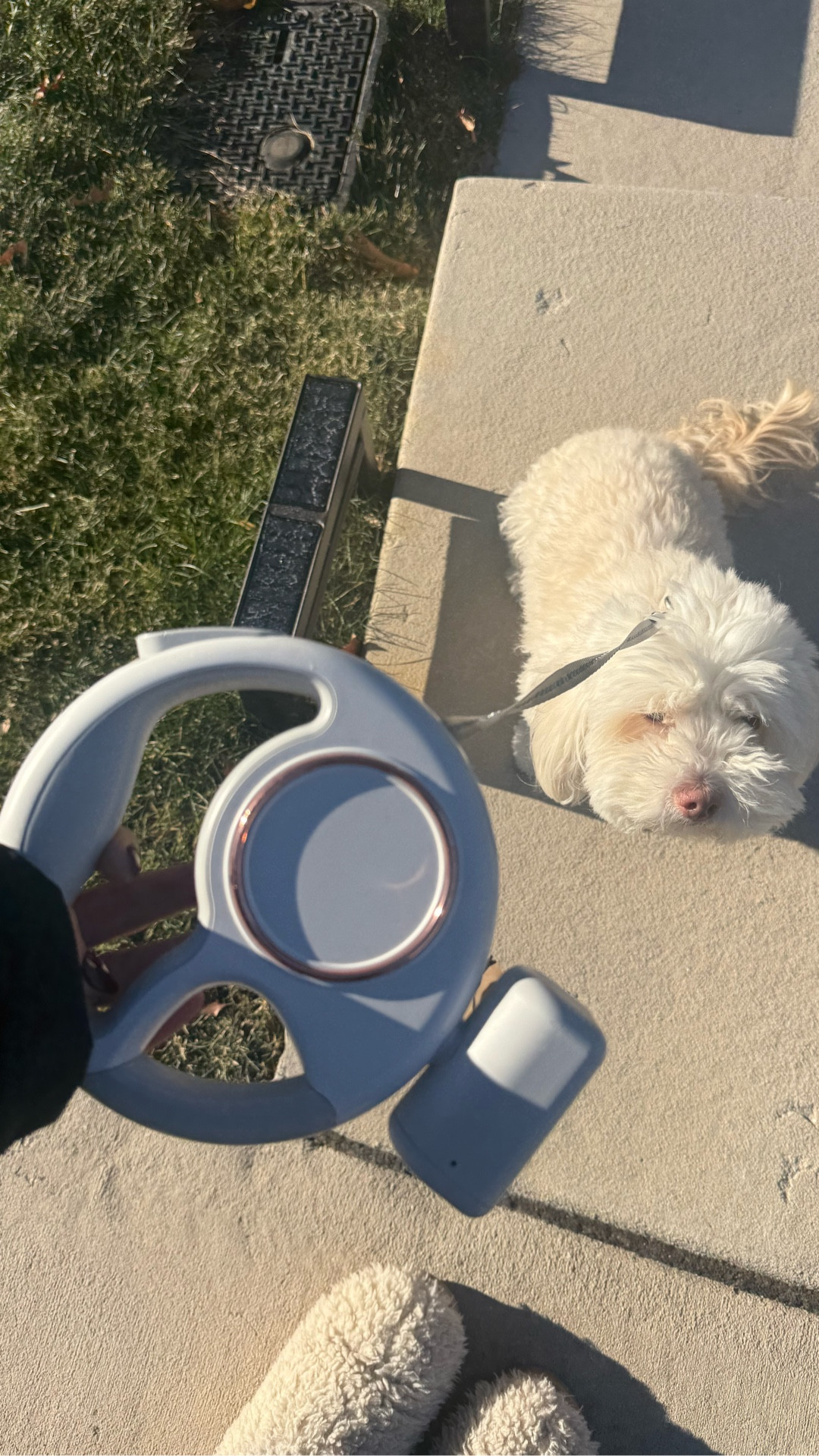 The best dog leash I’ve tried🐶

#LTKGiftGuide #LTKvlog #LTKFindsUnder100