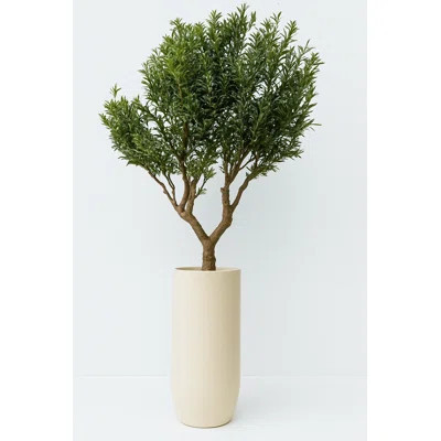 Artificial Olive Tree In Matte Black St. Tropez Planter | Perigold