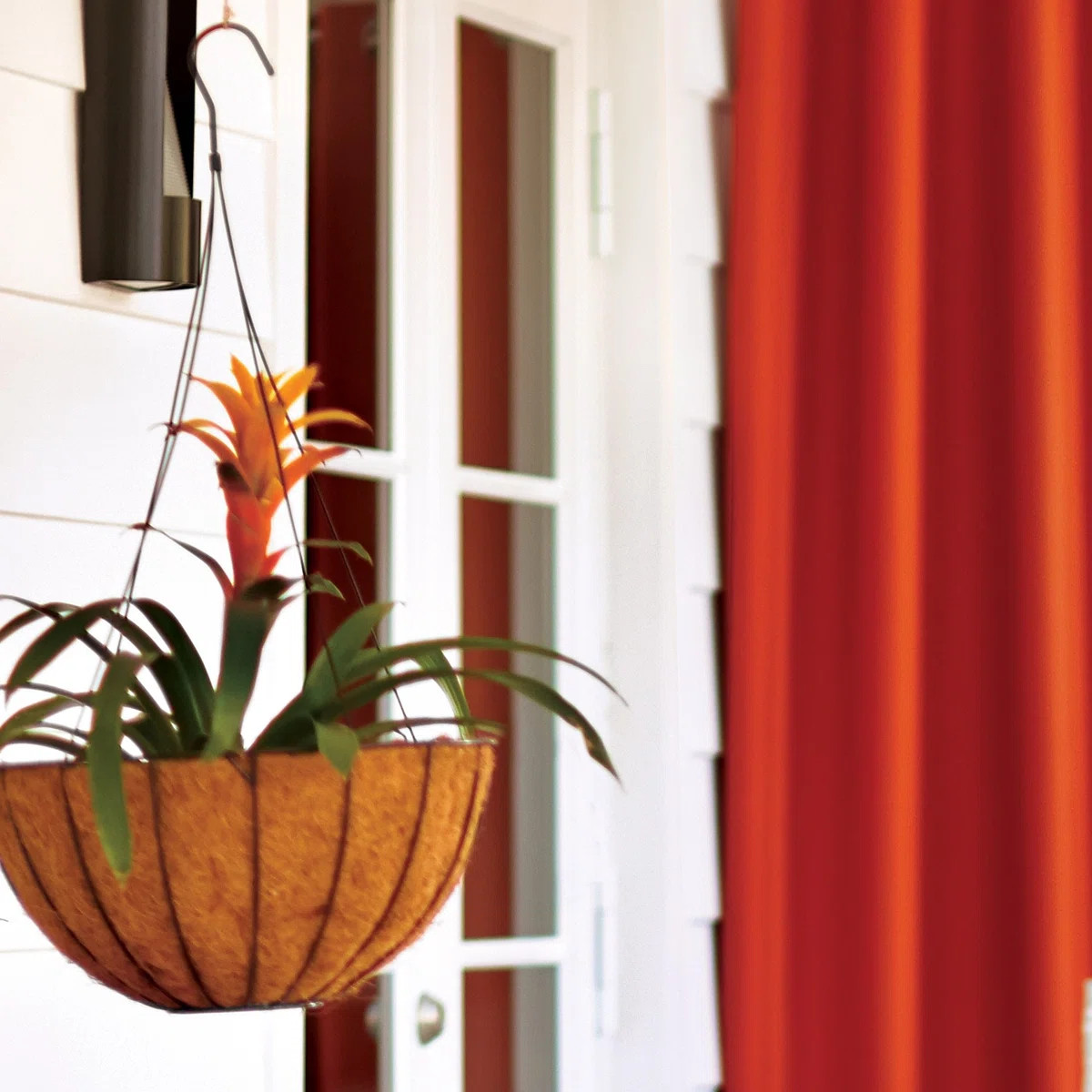 Rothstein Hanging Planter | Wayfair North America