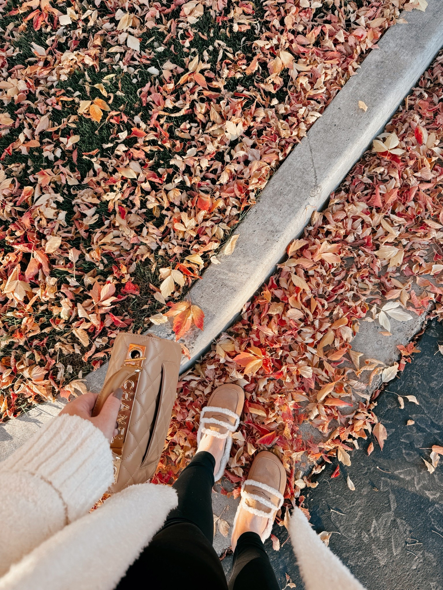 Falling for all the cozy vibes 🍂🤎 Cream layers, leggings, and my fave faux shearling loafers 🥰amazon cardigan | amazon cream cardigan | amazon fall cardigan | fall outfit | loafers | faux shearling loafers | walmart loafers | trending loafers | fall shoes | leggings | amazon leggings | amazon lululemon leggings dupe | tank top | amazon tank top | amazon fall outfit | casual fall outfit | amazon fall casual outfit | amazon fashion | amazon finds | amazon look | amazon outfit | fall outfit | fall look | fall fashion | fall finds | fall outfit inspo | fall fashion inspo | fall 2025 

#LTKSaleAlert #LTKMidsize #LTKFindsUnder50