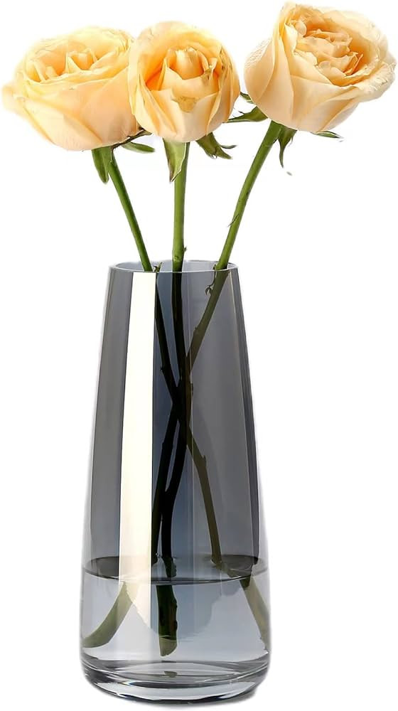 Smoke Gray Large Vase Glass Flower Vase Crystal Vases Home Decor Modern Large Clear Glass Vases f... | Amazon (US)