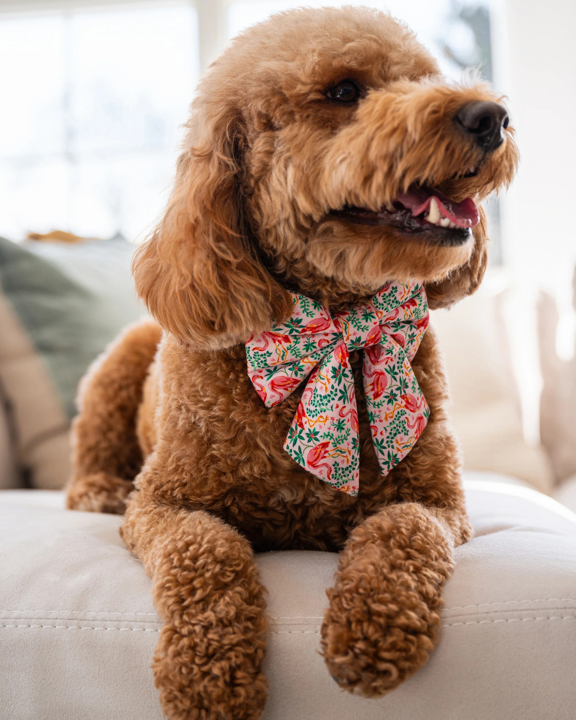 PF x The Foggy Dog Tiger Queen - Lady Dog Bow - Jade | Printfresh