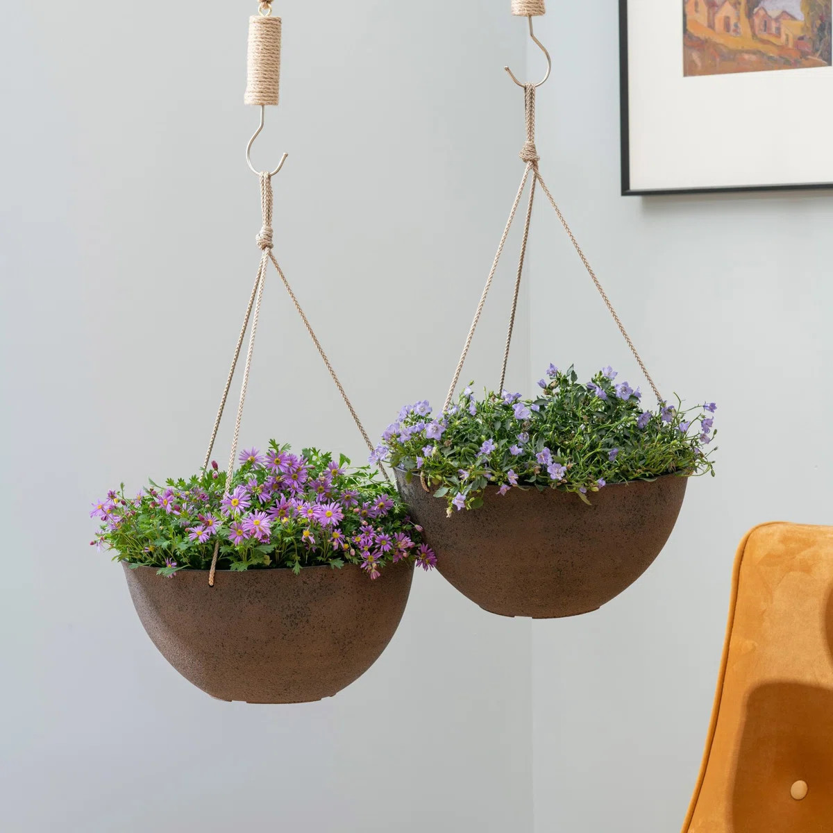 Boxdale Hanging Planter (Set of 2) | Wayfair North America