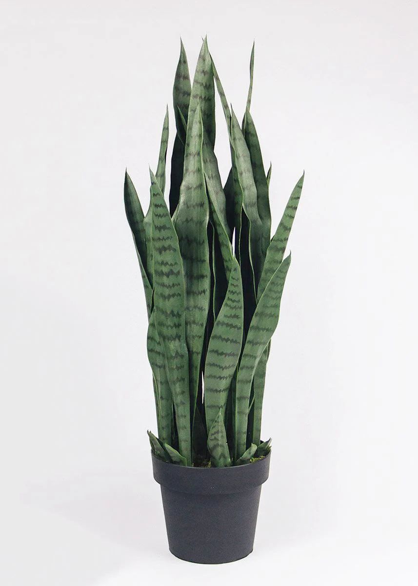 Snake Plant in Pot | UV Protected Fake Outdoor Plants at Afloral.com | Afloral
