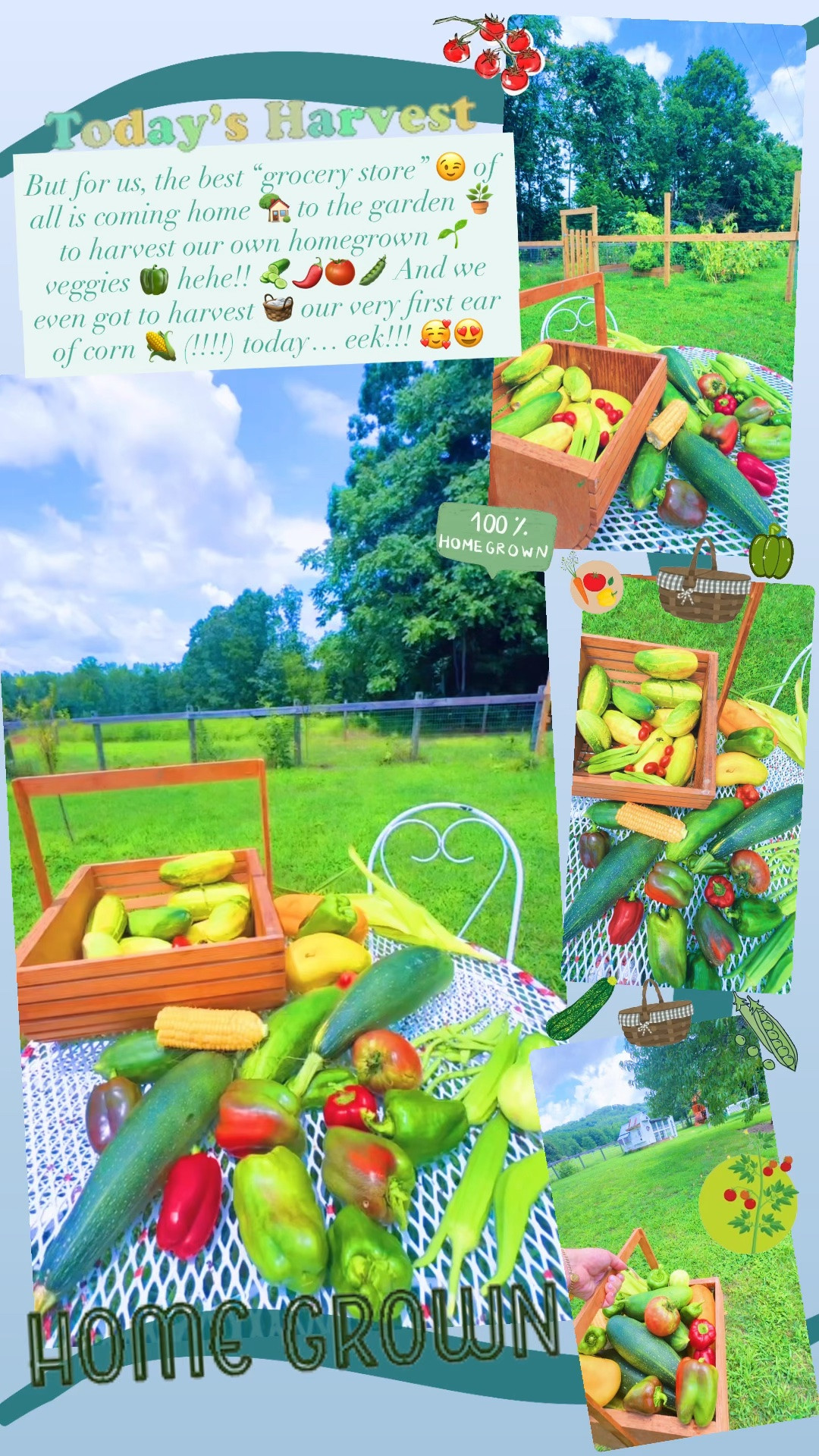 But for us, the best “grocery store” 😉 of all is coming home 🏡 to the garden 🪴 to harvest our own homegrown 🌱 veggies 🫑 hehe!! 🥒🌶️🍅🫛 And we even got to harvest 🧺 our very first ear of corn 🌽 (!!!!) today… eek!!! 🥰😍