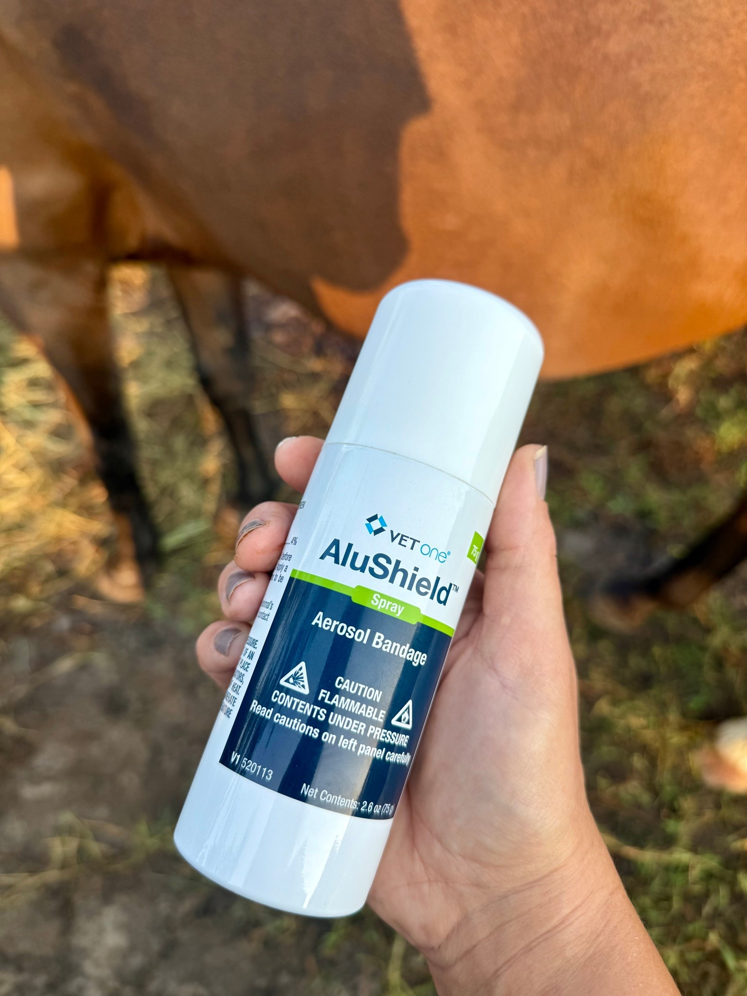 Wound Care for Horses - AluShield Silver Spray ❤️‍🩹🐴 