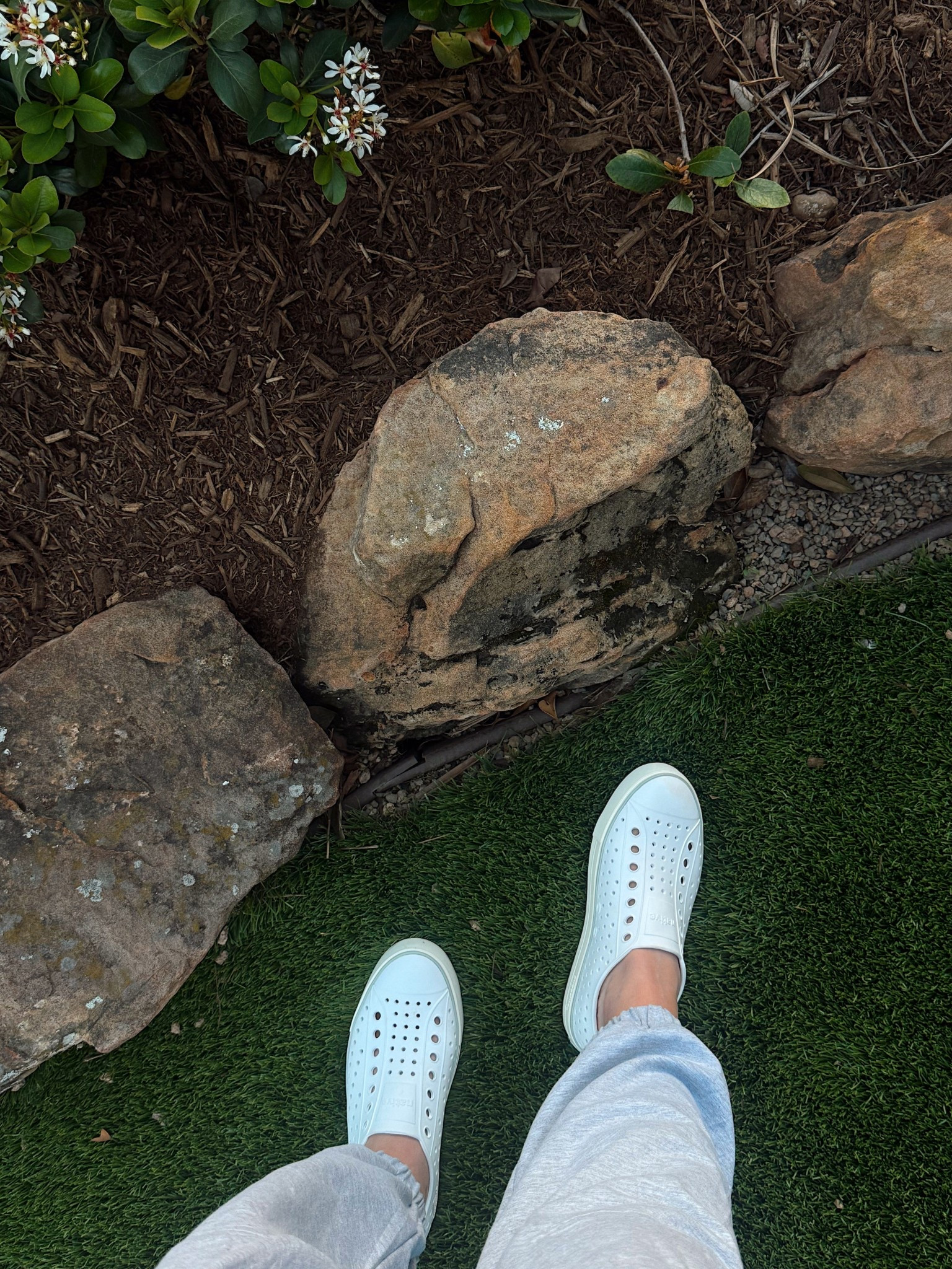 Favorite way to chase my toddler around is in these Jefferson Arc slip ons by Native Shoes!! 👟 

#LTKmomlife #LTKdayinmylife #LTKootd