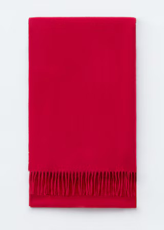 Fringed Wool Blanket Scarf | & Other Stories UK
