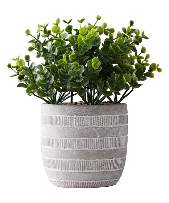 Hemsly Faux Plants Green - Green Banded Cement Potted Japanese Boxwood Arrangement | Zulily