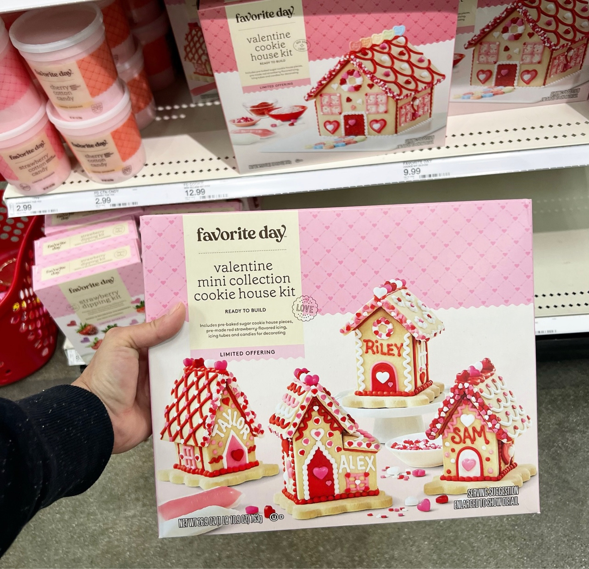 Valentine’s gingerbread house 💌

#LTKSeasonal #LTKfamily #LTKunder50