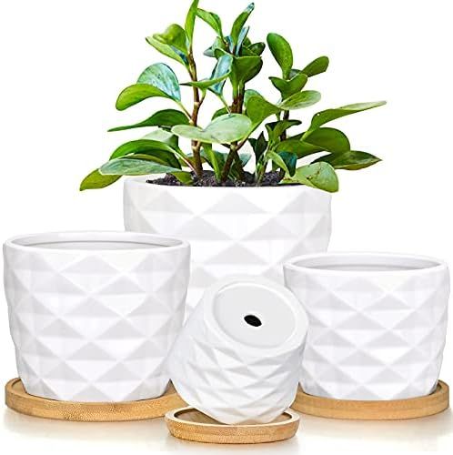 Succulent Pots, White Ceramic Pots for Plants Set of 6 Succulent Planters with Drainage Tray Bamboo  | Amazon (US)