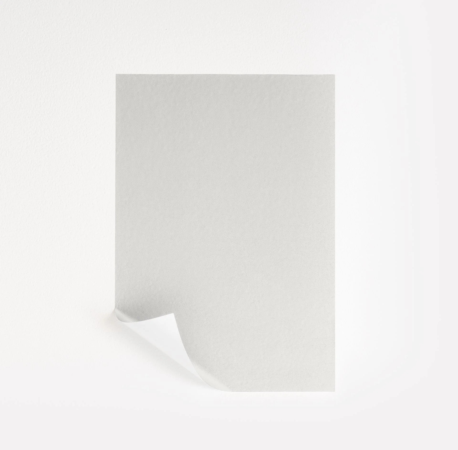 Natural White | Samplize