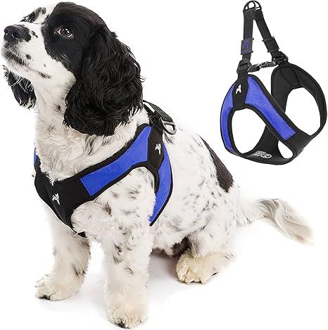 Gooby Escape Free Easy Fit Harness - No Pull Step-in Patented Small Dog Harness with Quick Releas... | Amazon (US)