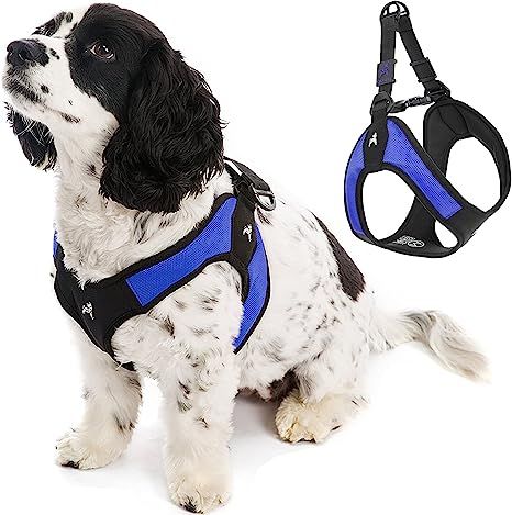 Gooby Escape Free Easy Fit Harness - No Pull Step-in Patented Small Dog Harness with Quick Releas... | Amazon (US)