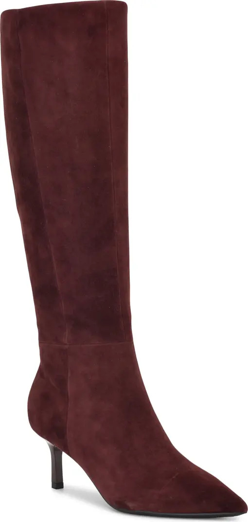 Kimdee 9x9 Pointed Toe Knee High Boot (Women) | Nordstrom