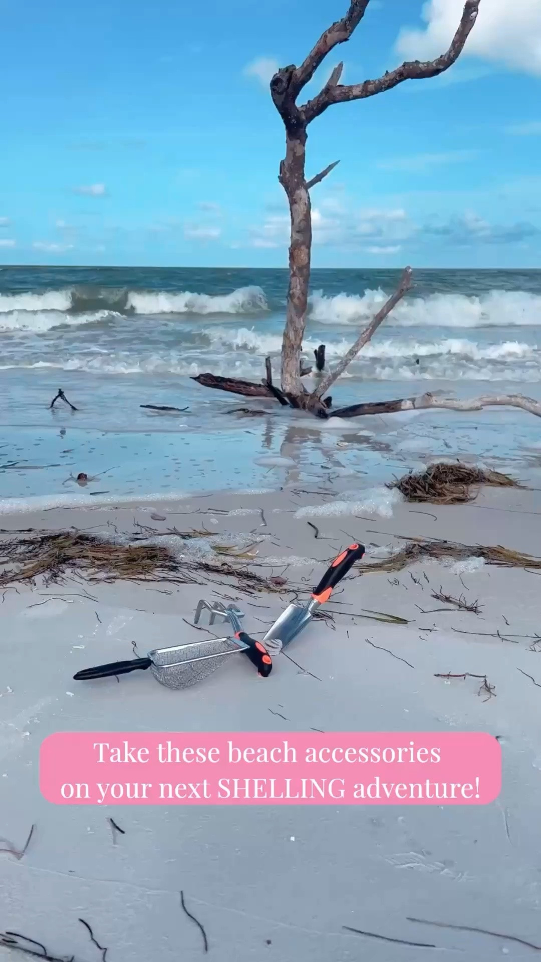 Take these beach accessories with you on your next Shelling adventure! 

Amazon has amazing beach tools Stan affordable price!

Click below to see what additional come with these tools!

#LTKSeasonal #LTKOver40 #LTKSaleAlert #LTKTravel #LTKgrwm #LTKSwim #LTKvlog