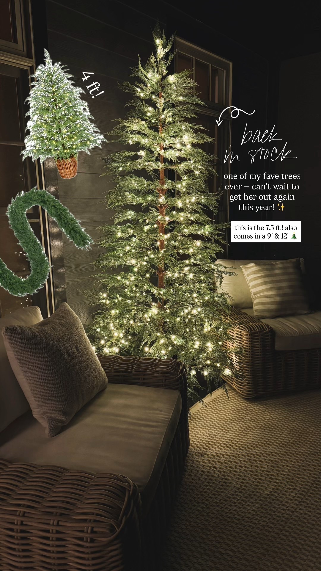 I have loads of fall decor to share w/ you gals but…..these WILL SELL OUT FAST🙈👀✨🎄 & they’re SO GORGEOUS! I have the 7.5 ft. & just grabbed two of the 4 foot potted ones for the porch this year! Highly suggest 🙏🏼

Walmart / Christmas 2025 / my Texas house tree / Cypress / twinkle tree / home decor / cozy / Holley Gabrielle 

#LTKSaleAlert #LTKSeasonal #LTKHome