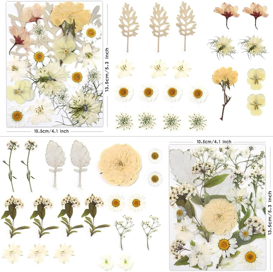 LUXEEASE 80 Pcs Dried Flowers for Crafts, Real Natural Dried Pressed Flowers in Soft Yellow, Whit... | Amazon (US)
