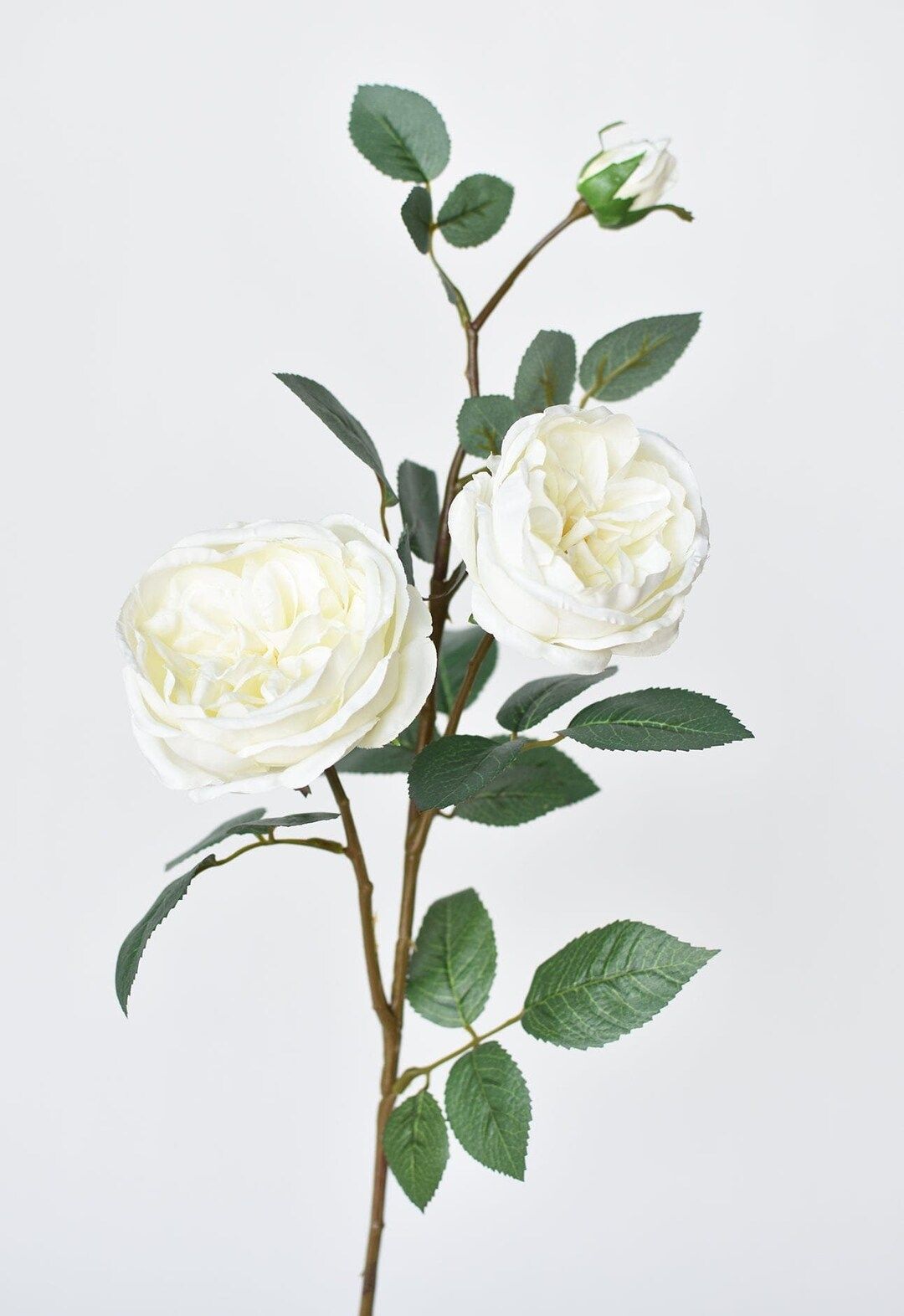 29" Cabbage Rose Spray White | Etsy (US)