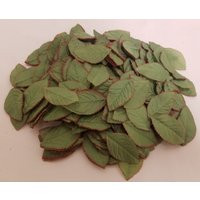 144 Pcs Vintage Loose Green Rose Leaf Artificial Silk Millinery Leaves For Floral Crafts Or Hat Making | Etsy (US)