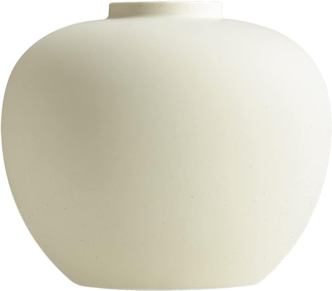 Full Moon Designed Vase, Shaping Flower Art and Displaying Hydroponic Plants, 6.5" × 7.2", Matte... | Amazon (US)