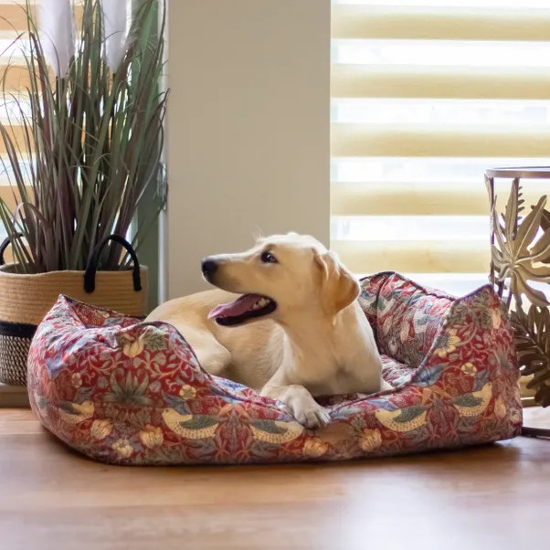 Morris & Co Strawberry Thief Pet Box Bed | Dunelm