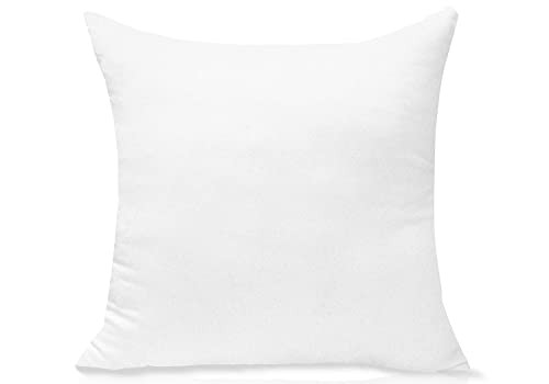 JIEITIVE Throw Pillow Inserts Hypoallergenic Premium Pillow Stuffer Square Form for Decorative Pillow Covers Cushion Bed Couch Sofa Set of 1-20 x 20 Inches | Amazon (US)