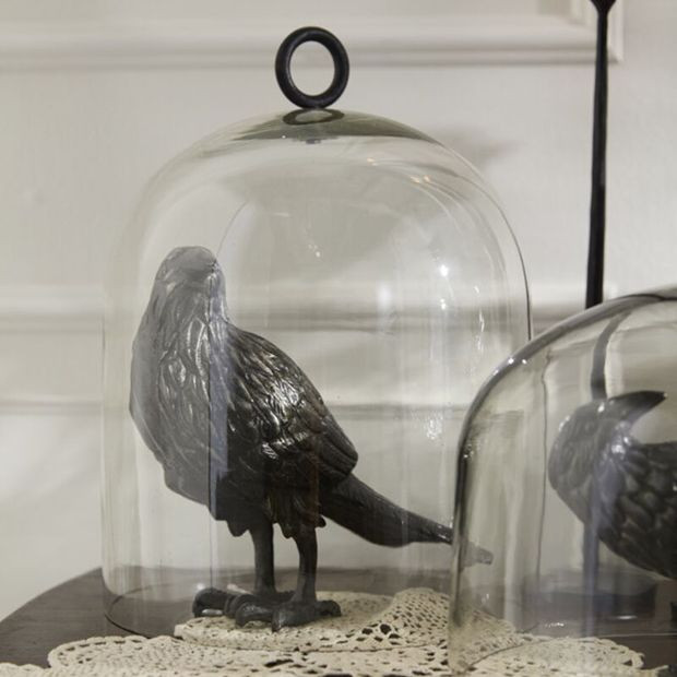 The Collector's Curio Glass Cloche 12.25 Inch | Antique Farm House