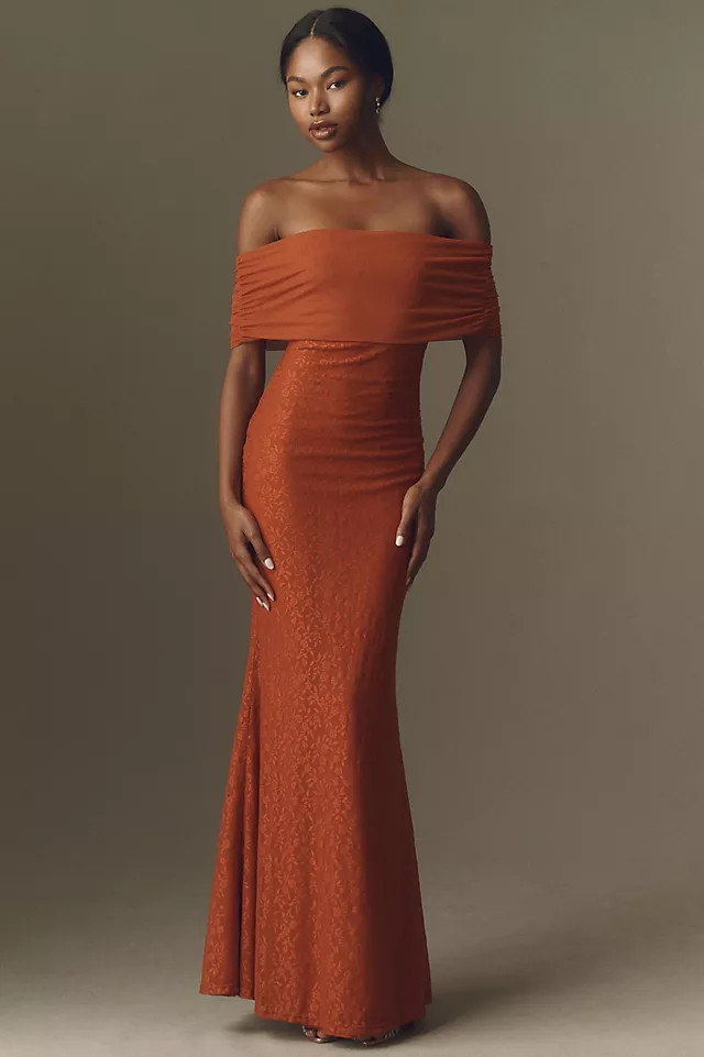 Off-The-Shoulder Lace and Mesh Maxi Dress | Anthropologie (US)