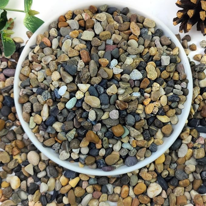 2lbs Natural River Rocks, 1/4" Aquarium Gravel Succulent Cactus Pea Gravel for Plants, Fish Tank,... | Amazon (US)