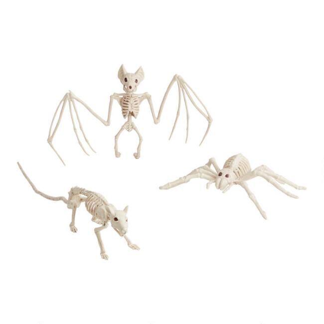 Rat, Bat and Spider Skeletons Set of 3 | World Market
